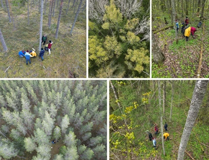 Uudiskiri - kevad 2025