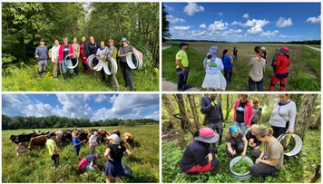 Uudiskiri - detsember 2024